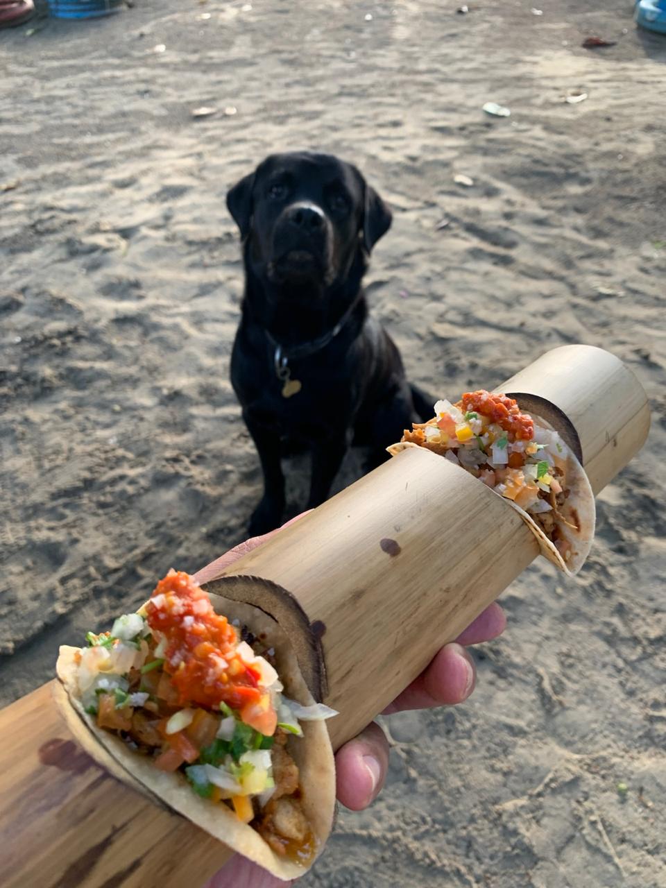 Close-up burritos served on a patterned plate